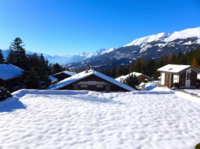 Apartment Robin des Bois B 15 by Interhome Crans-Montana